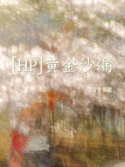 [HP]黄金沙漏