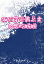 猫猫穿进霸总文只想吃罐罐
