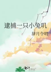 逮捕一只小兔叽
