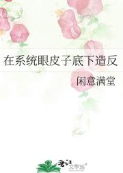 在系统眼皮子底下造反
