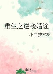 重生之逆袭婚途