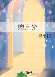 赠月光