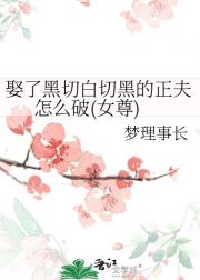 娶了黑切白切黑的正夫怎么破