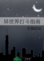 异世界打斗指南