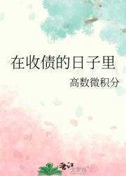 在收债的日子里