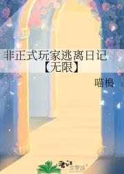 非正式玩家逃离日记 【无限】