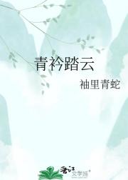 青衿踏云
