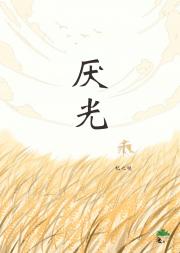 厌光