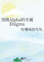 顶级Alpha的专属Enigma