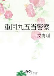 重回九五当警察