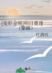 [变形金刚]明日重逢（擎蜂）