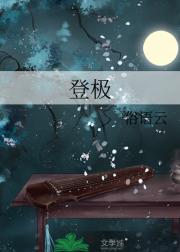 登极