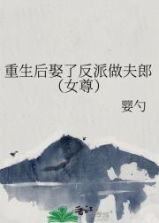 重生后娶了反派做夫郎（女尊）