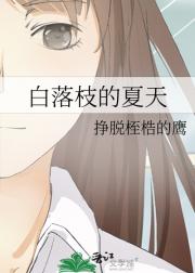白落枝的夏天