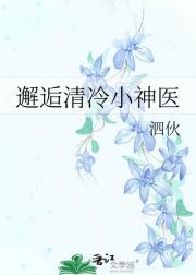 邂逅清冷小神医