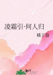 凌霜引·何人归