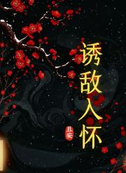 诱敌入怀