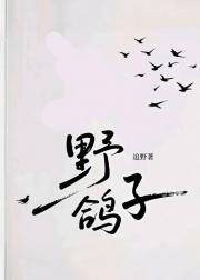 野鸽子
