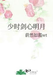 少时剑心明月