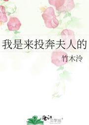 我是来投奔夫人的