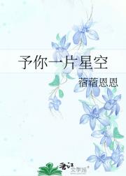 予你一片星空