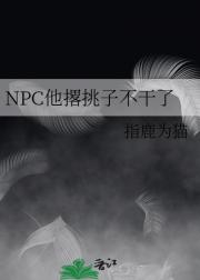 NPC他撂挑子不干了