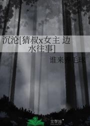 沉沦 - 猜叔x女主 边水往事