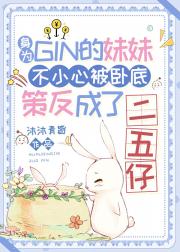 身为GIN的妹妹不小心被卧底策反成了二五