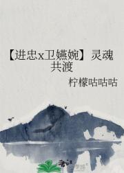 【进忠x卫嬿婉】灵魂共渡
