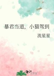 暴君当道，小猫驾到