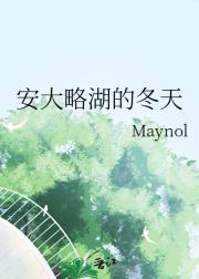 安大略湖的冬天