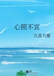 心照不宣