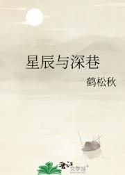 星辰与深巷