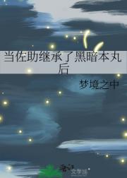 当佐助继承了黑暗本丸后