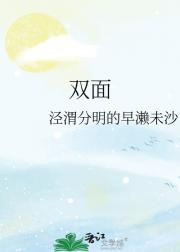双面