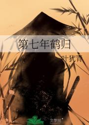 第七年鹤归