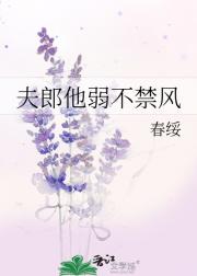 夫郎他弱不禁风