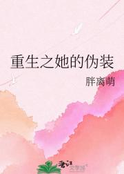 重生之她的伪装