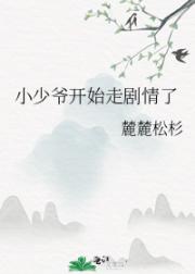 小少爷开始走剧情了