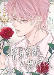 替身男配他只想赚钱
