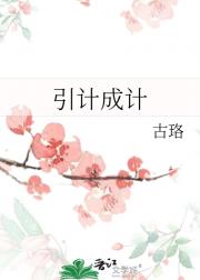 引计成计