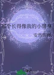 那个长得像我的小替身