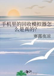 手机里的回收模拟器怎么是真的？