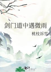 剑门道中遇微雨