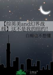 【综英美and幻界战线】这不是我的纽约！