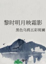 黎时明月映霜影