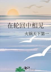 在轮回中相见