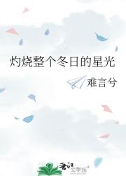 灼烧整个冬日的星光