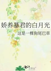 娇养暴君的白月光