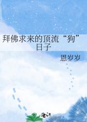 拜佛求来的顶流“狗”日子